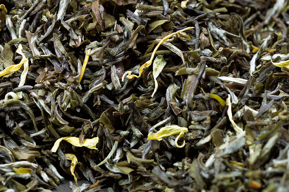 Loser grüner Tee des Original Genmaicha