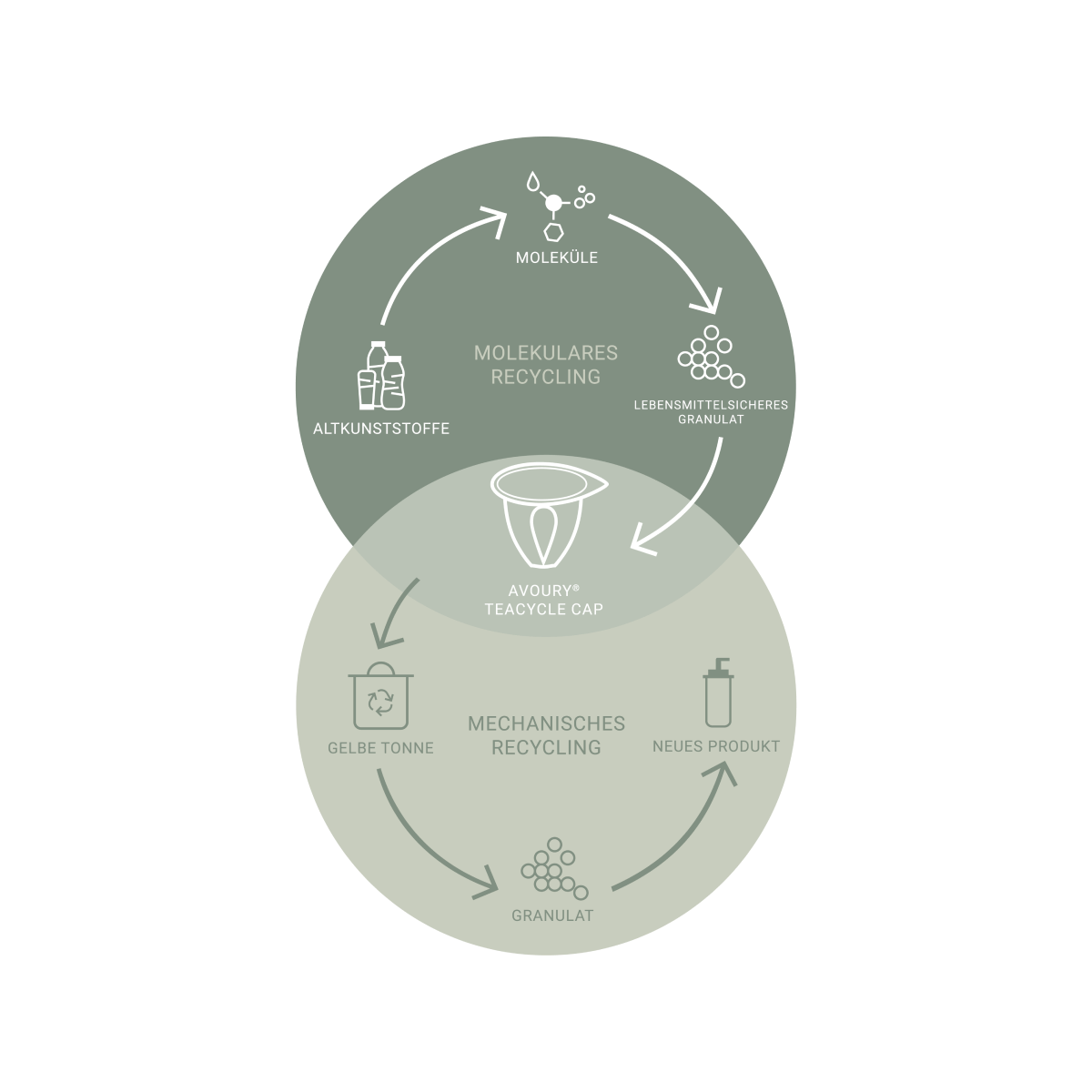 Picture describes the circular economy of Avourys TeaCycle Cap