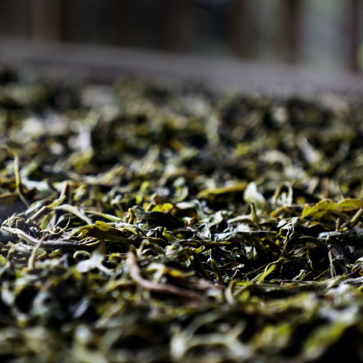 Getrocknete grüne Teeblätter